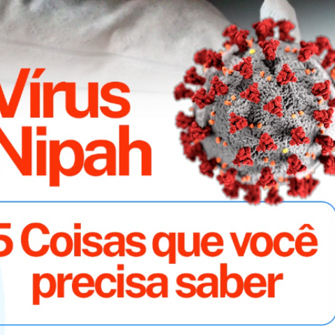 Virus Nipah: 5 Coisas que vocês precisa saber.