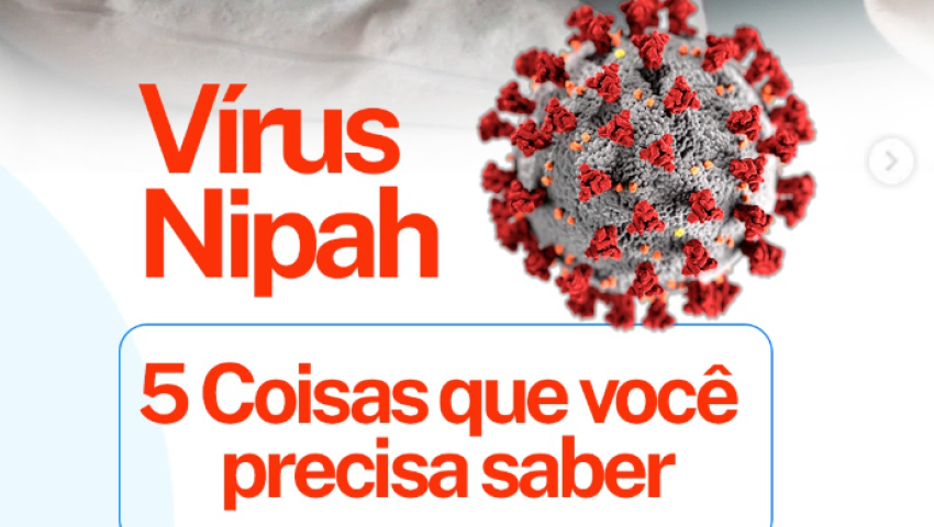 Virus Nipah: 5 Coisas que vocês precisa saber.